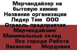 Мерчандайзер на бытовую химию › Название организации ­ Лидер Тим, ООО › Отрасль предприятия ­ Мерчендайзинг › Минимальный оклад ­ 25 000 - Все города Работа » Вакансии   . Мордовия респ.